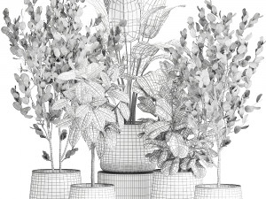 houseplants in a flowerpot for the interior 942 3D Модель