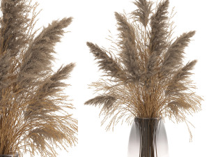 bouquet of dried flowers in a vase 118 3D Model