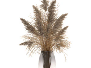 bouquet of dried flowers in a vase 118 3D Model