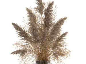 bouquet of dried flowers in a vase 118 3D Model
