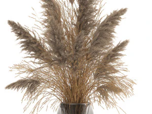 bouquet of dried flowers in a vase 118 3D Model
