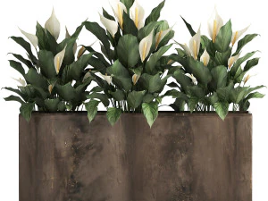 spathiphyllum in a flowerpot for the interior 943 3D Model
