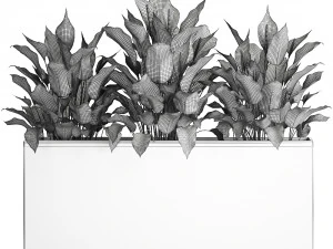 spathiphyllum in a flowerpot for the interior 943 3D Model
