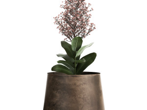 skimmia in a flowerpot for the interior 944 3D Модель