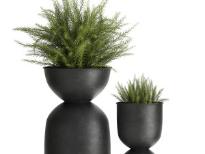 asparagus in a flowerpot for the interior 945 3D-Modell