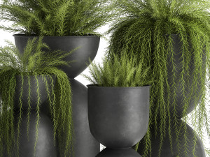 asparagus in a flowerpot for the interior 945 3D-Modell