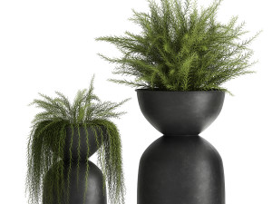 asparagus in a flowerpot for the interior 945 3D-Modell