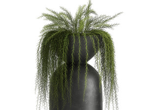 asparagus in a flowerpot for the interior 945 3D-Modell