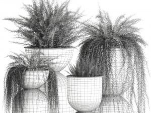 asparagus in a flowerpot for the interior 945 3D-Modell