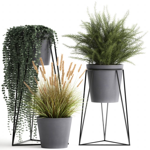 plants in a flowerpot for the interior 946 3D Model .c4d .max .obj .3ds .fbx .stl .blend 