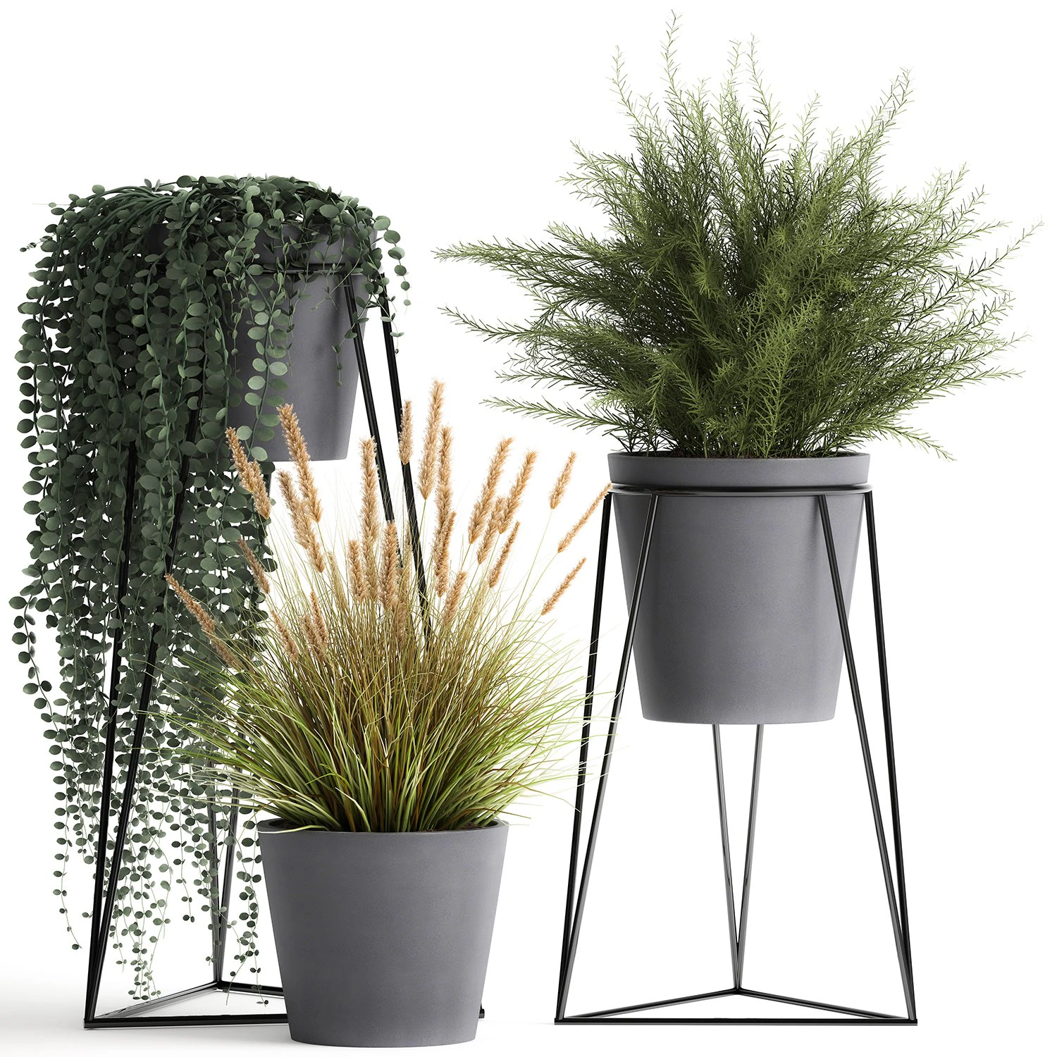plants in a flowerpot for the interior 946 3D Model .c4d .max .obj .3ds .fbx .stl .blend