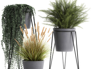 plants in a flowerpot for the interior 946 3D Model
