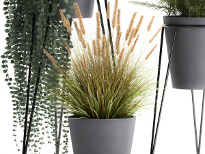 plants in a flowerpot for the interior 946 3D Model
