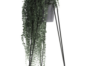 plants in a flowerpot for the interior 946 3D Model