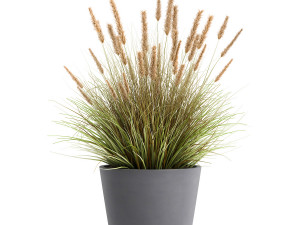 plants in a flowerpot for the interior 946 3D Model