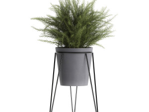 plants in a flowerpot for the interior 946 3D Model