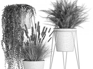 plants in a flowerpot for the interior 946 3D Model