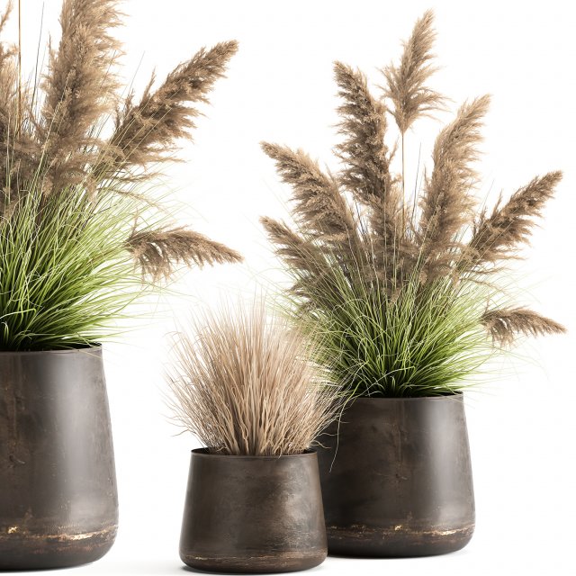 reeds in a rusty flower pot for the interior 948 3D Model .c4d .max .obj .3ds .fbx .stl .blend