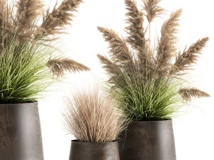 очерет в іржавому квітковому горщику для інтер'єру 948 3D Модель