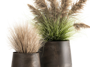 reeds in a rusty flower pot for the interior 948 3D Model