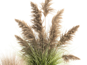 reeds in a rusty flower pot for the interior 948 3D Model