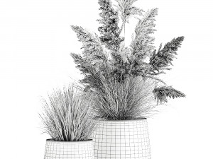 reeds in a rusty flower pot for the interior 948 3D Model