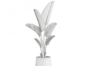 banana palm in a rust pot for the interior 947 3D Model
