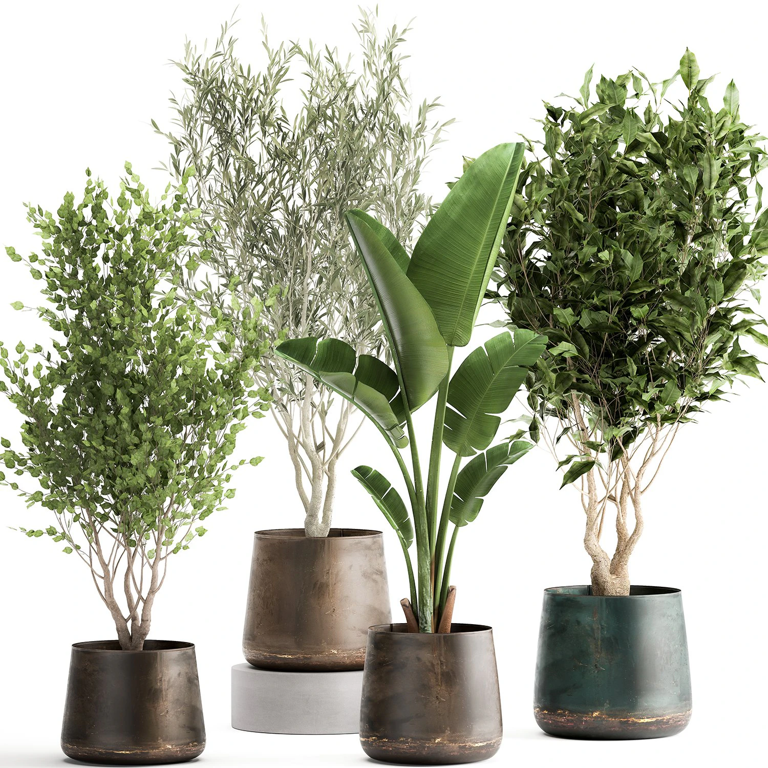 houseplants in a flowerpot for the interior 949 3D Model .c4d .max .obj .3ds .fbx .stl .blend 