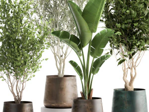 houseplants in a flowerpot for the interior 949 3D Model