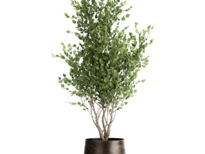houseplants in a flowerpot for the interior 949 3D Model