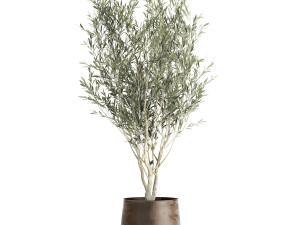 houseplants in a flowerpot for the interior 949 3D मॉडल