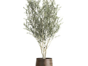 houseplants in a flowerpot for the interior 949 3D Model