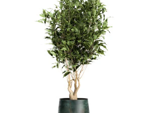 houseplants in a flowerpot for the interior 949 3D Model
