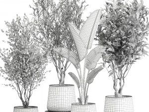 houseplants in a flowerpot for the interior 949 3D मॉडल