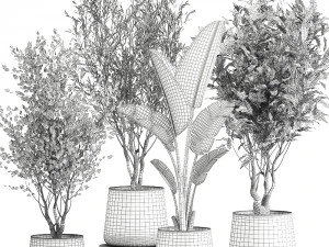 houseplants in a flowerpot for the interior 949 3D Model