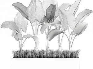 alocasia em vaso para interior 951 Modelo 3D