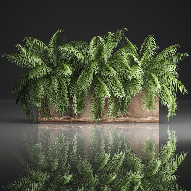 palm bushes in a pot for the interior 952 3D Model .c4d .max .obj .3ds .fbx .stl .blend 