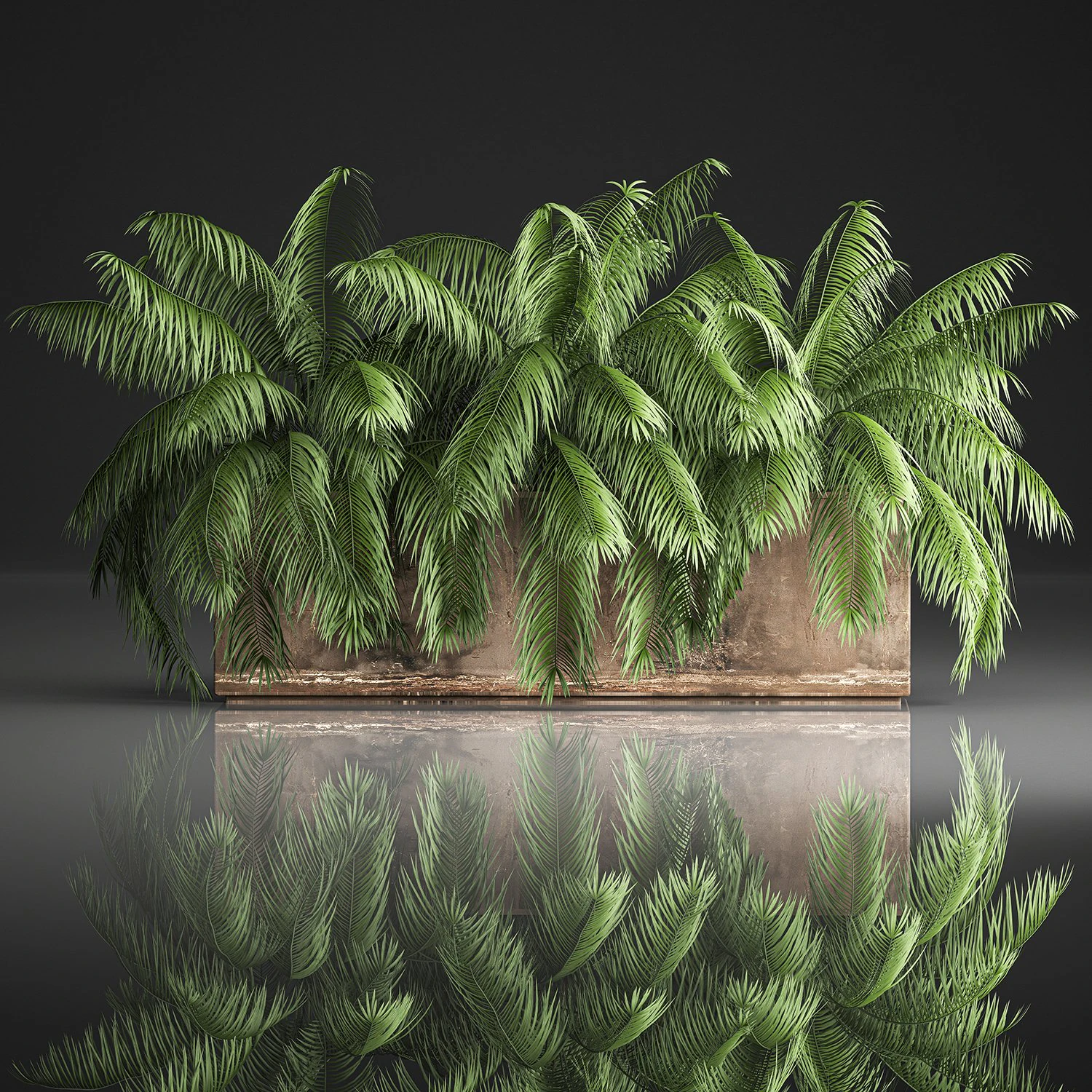 palm bushes in a pot for the interior 952 3D Model .c4d .max .obj .3ds .fbx .stl .blend 