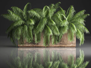 cespugli di palme in vaso per interni 952 Modello 3D