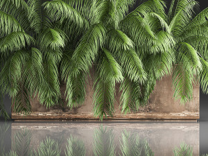 palm bushes in a pot for the interior 952 3D Model