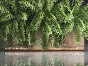 palm bushes in a pot for the interior 952 3D Model