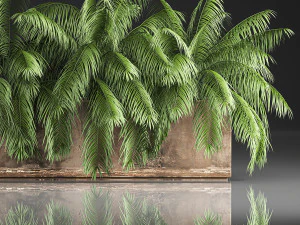 palm bushes in a pot for the interior 952 3D Model