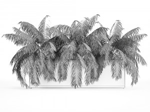 palm bushes in a pot for the interior 952 3D Model