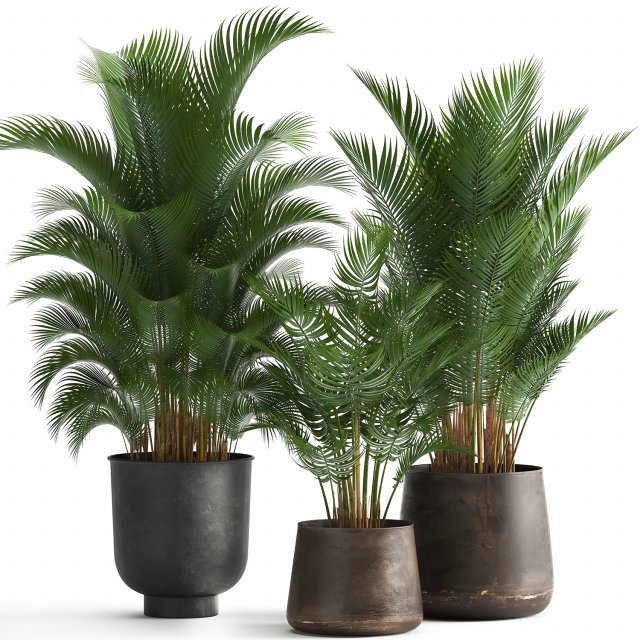 decorative palm in a flowerpot for the interior 954 3D Модель .c4d .max .obj .3ds .fbx .stl .blend