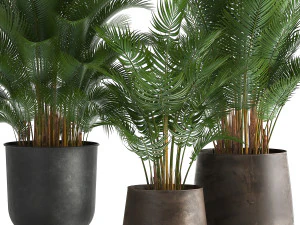 decorative palm in a flowerpot for the interior 954 3D Model