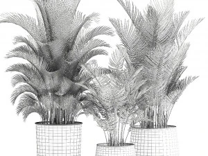 decorative palm in a flowerpot for the interior 954 3D Model
