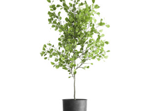 decorative tree in a flowerpot for the interior 953 3Dモデル