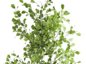 decorative tree in a flowerpot for the interior 953 3Dモデル