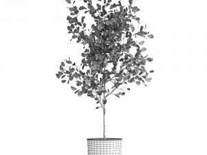 decorative tree in a flowerpot for the interior 953 3Dモデル