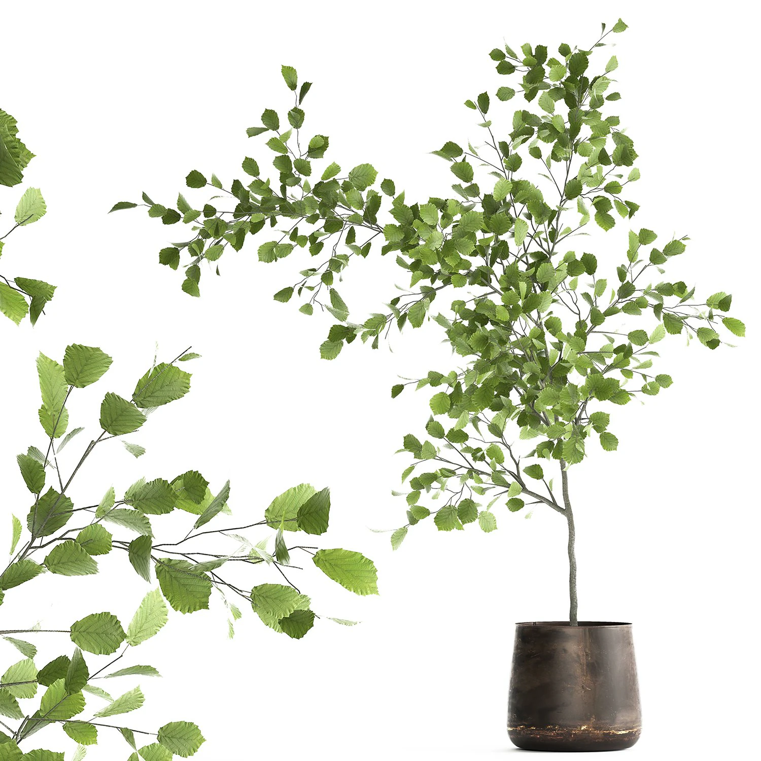 decorative tree in a flowerpot for the interior 955 3D Model .c4d .max .obj .3ds .fbx .stl .blend 